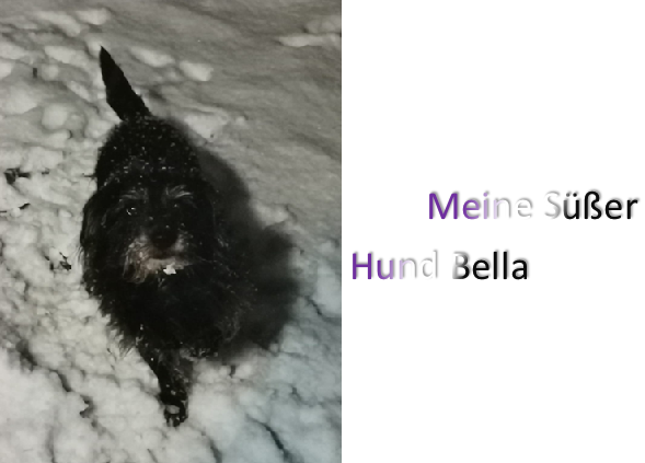 Bild4